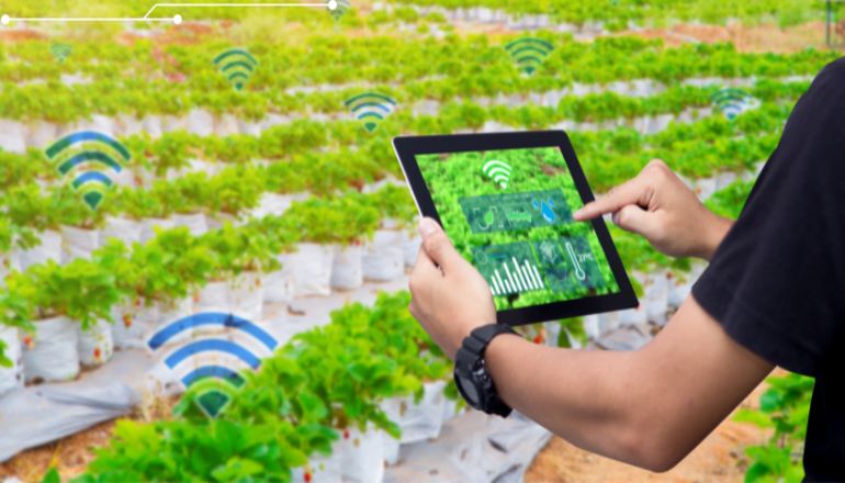 How RFID Technology Is Transforming Indian Agriculture