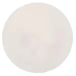 PVC Disc